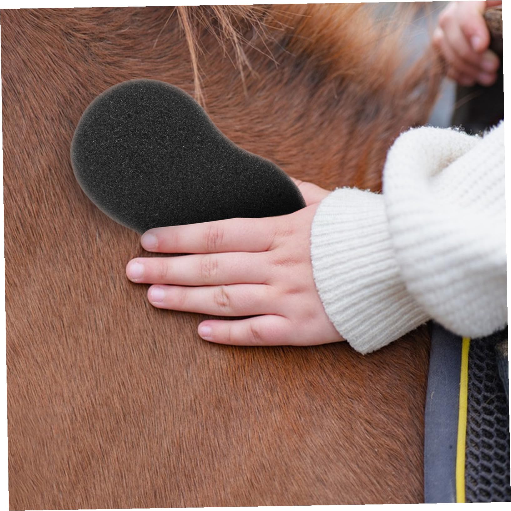 Herramientas para Baño y Cuidado de Caballos 5 Esponjas Portátiles para Limpieza de Pelo y Eliminación de Suciedad