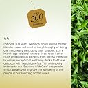 Twinings Green Tea & Lemon, 25 Tea Bags| Pack of 1| Perfectly Balanced & Refreshing Taste| Light, Zesty Lemon Flavour| Low Calorie| Handpicked Green Tea Leaves| Enjoy a Hot Cup of Tea gallery image