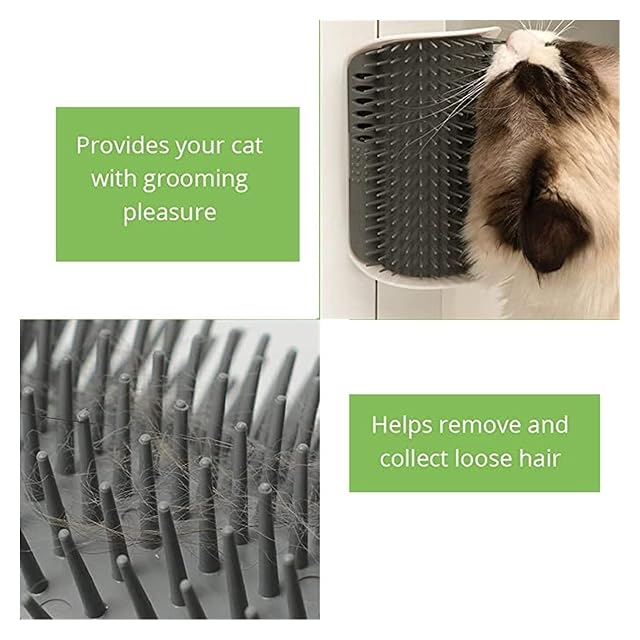 Foto 4 de 7 de Peluquero Para Gatos Auto-esteticista Para Gatos