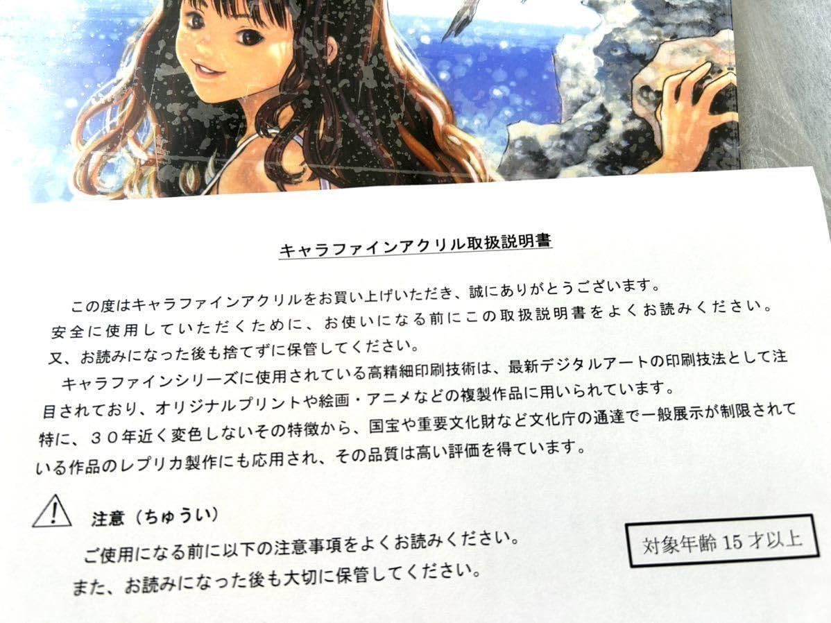 Amazon.co.jp: 受注生産 桂正和展「A4キャラファインアクリル B