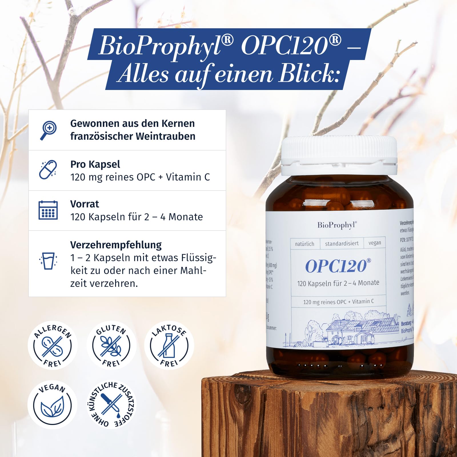 OPC120® plus Acerola - Das Original - 120 mg reines OPC aus 300 mg Traubenkernextrakt ohne Magnesiumstearat - zertifiziert - mit Vitamin C aus der Acerolakirsche - 120 Kapseln