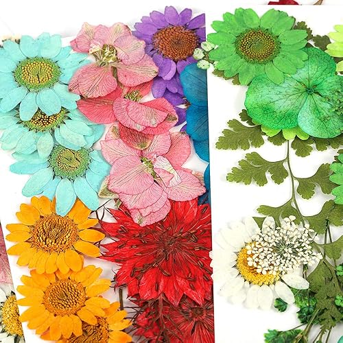 Miniatura 4 de Flores secas prensadas para resina, flores secas reales, kit de múltiples hojas de flores secas naturales para bricolaje, collar con colgante de