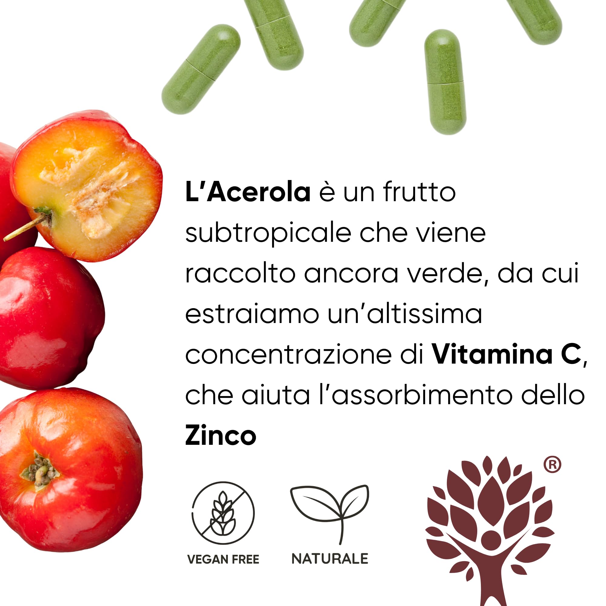 Integratore Difese Immunitarie Acerola e Moringa - Vitamina C 100% naturale - Adatto ad Adulti e Bimbi - Rafforza il Sistema Immunitario naturalmente con Moringa, Acerola e Zinco | 180 Capsule