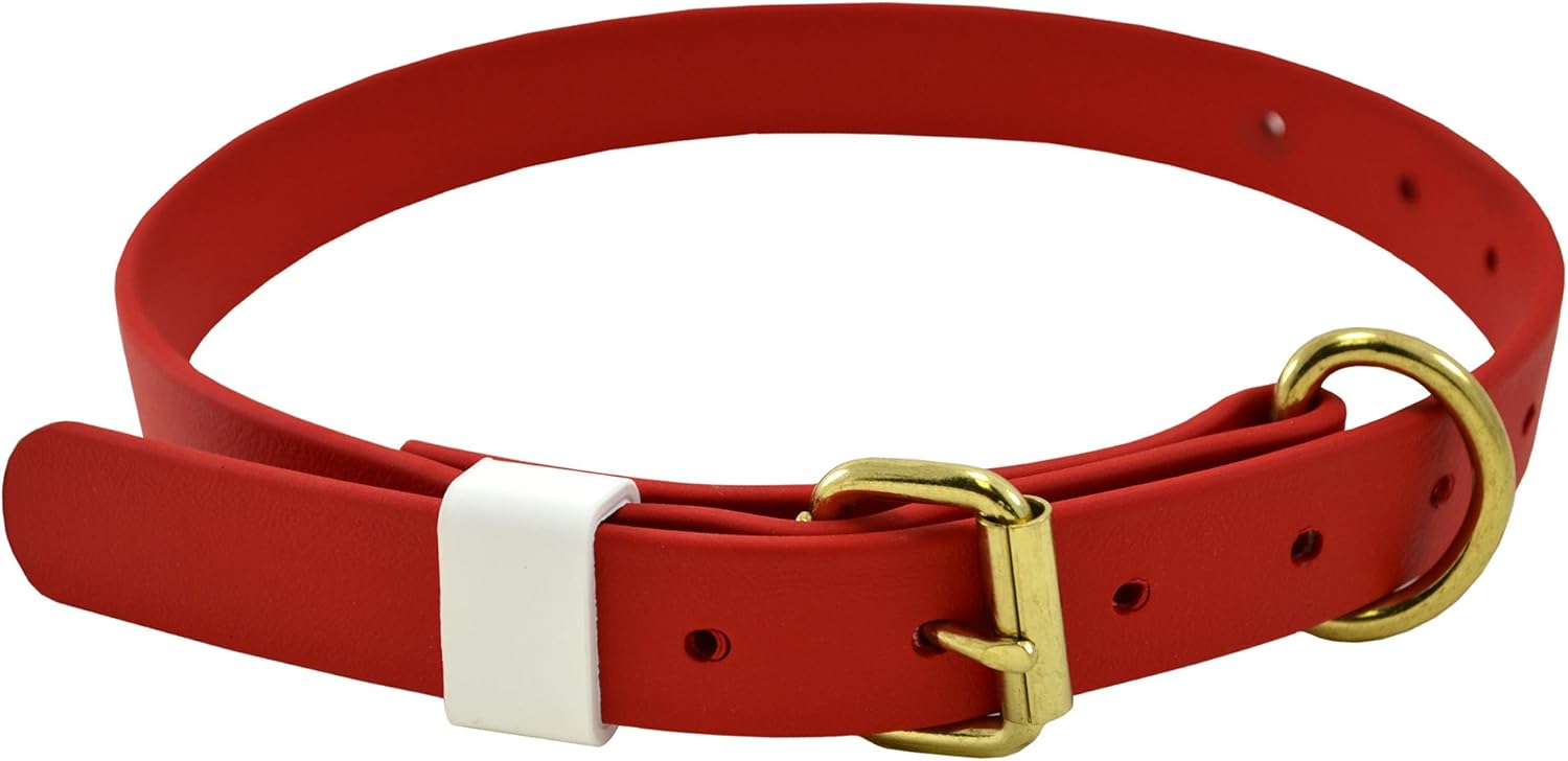 J&J Dog Supplies Boithane Dog Collar 1" Wide & Adjustable
