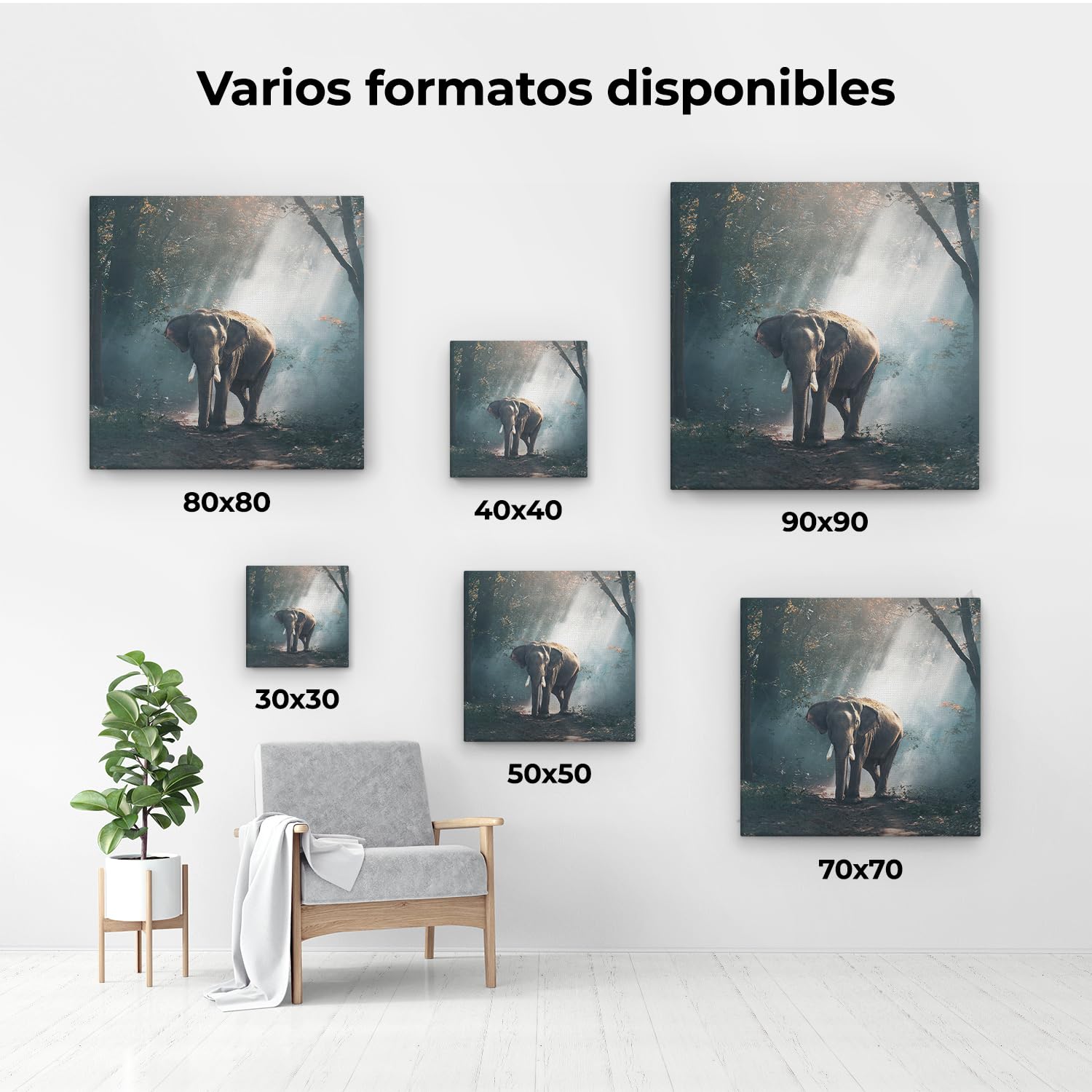 Artaza Cuadros Decoración Salón Modernos Elefante - 50x50 cm - Cuadros Decorativos Animales - Decoración Pared Bosque - Lienzos Naturaleza