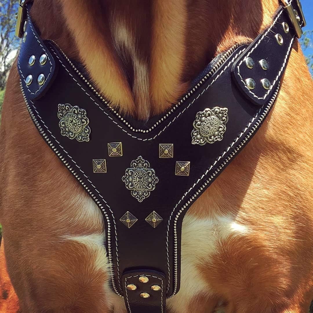 Bestia "Aztec Black Chest Plate Harness. 2 Tone Rivet Decorations. Zipper Decoration. Foam and Leather Padding Handmade in Europe.