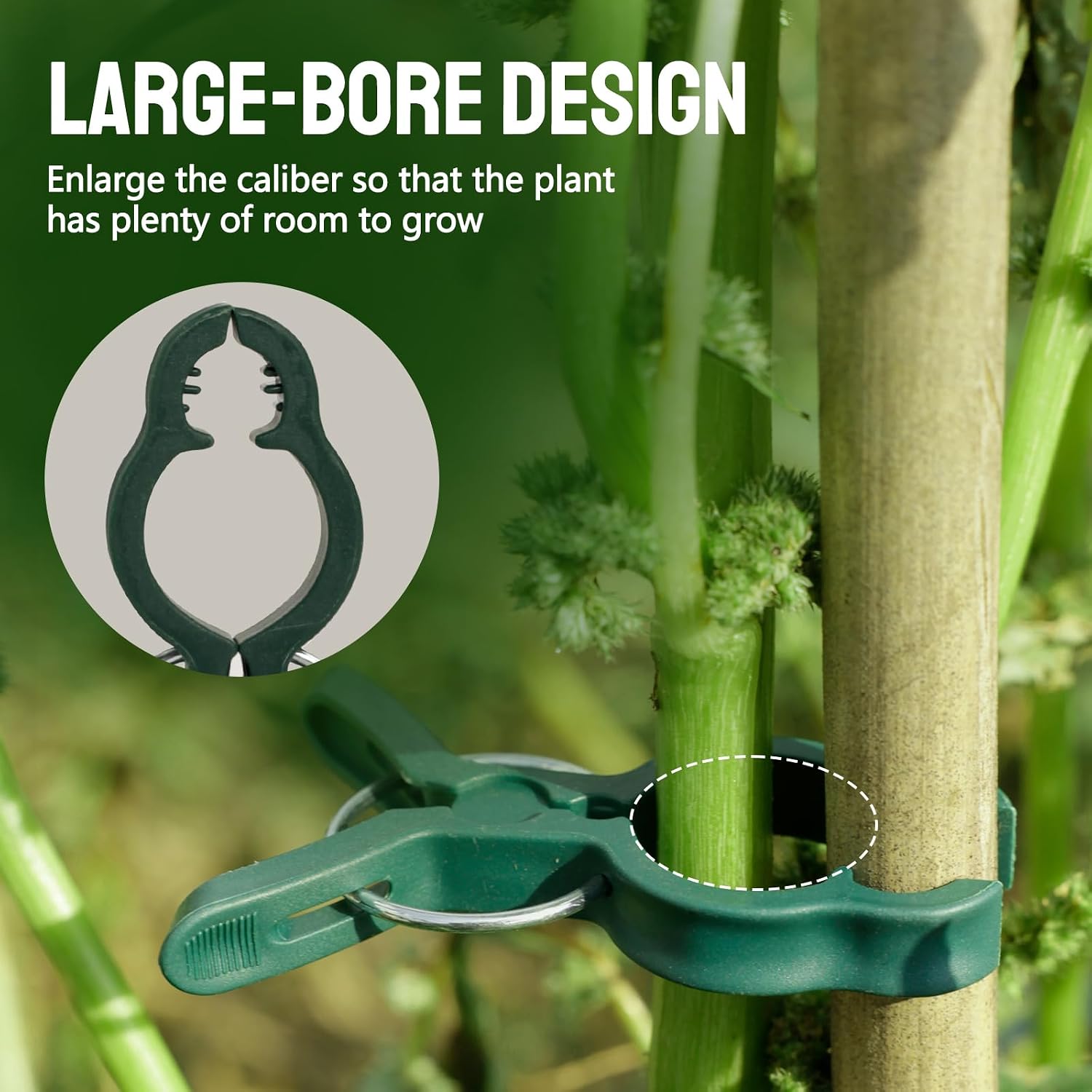 20 Pcs Plant Clips, 2 Sizes Trellis Clips In One Pack, Gentle Flower Plant Clamps For Supporting Climbing Plants, Plant Support Clips For Gardening Help Stems Vine Grow Straight Upright image 4