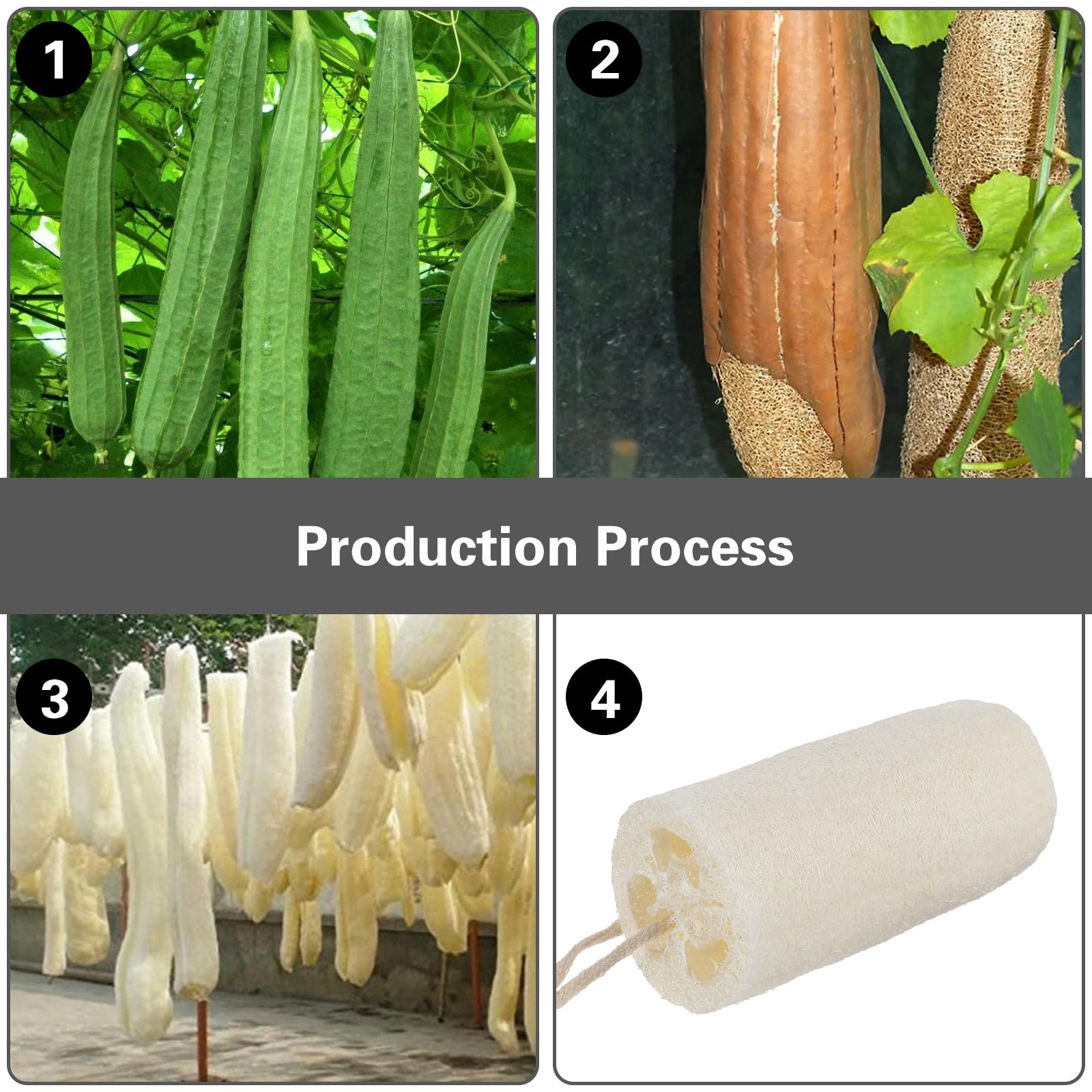 Organiczna naturalna gąbka luffa, gąbka prysznicowa Luffa do głębokiego czyszczenia skóry, złuszczająca peeling pleców dla mężczyzn kobiet dorosłych SPA piękna kąpiel codzienna pielęgnacja