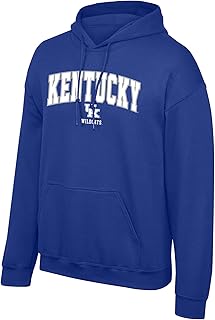 Elite Fan Shop Fan Favorite Team Color Arch Hoodie Sweatshirt