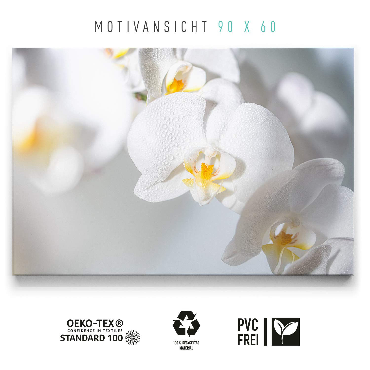 bienenweide saatgut bio Bio-Blhmischung Bienenweide Saatgut-Mischung (mehrjhrig)