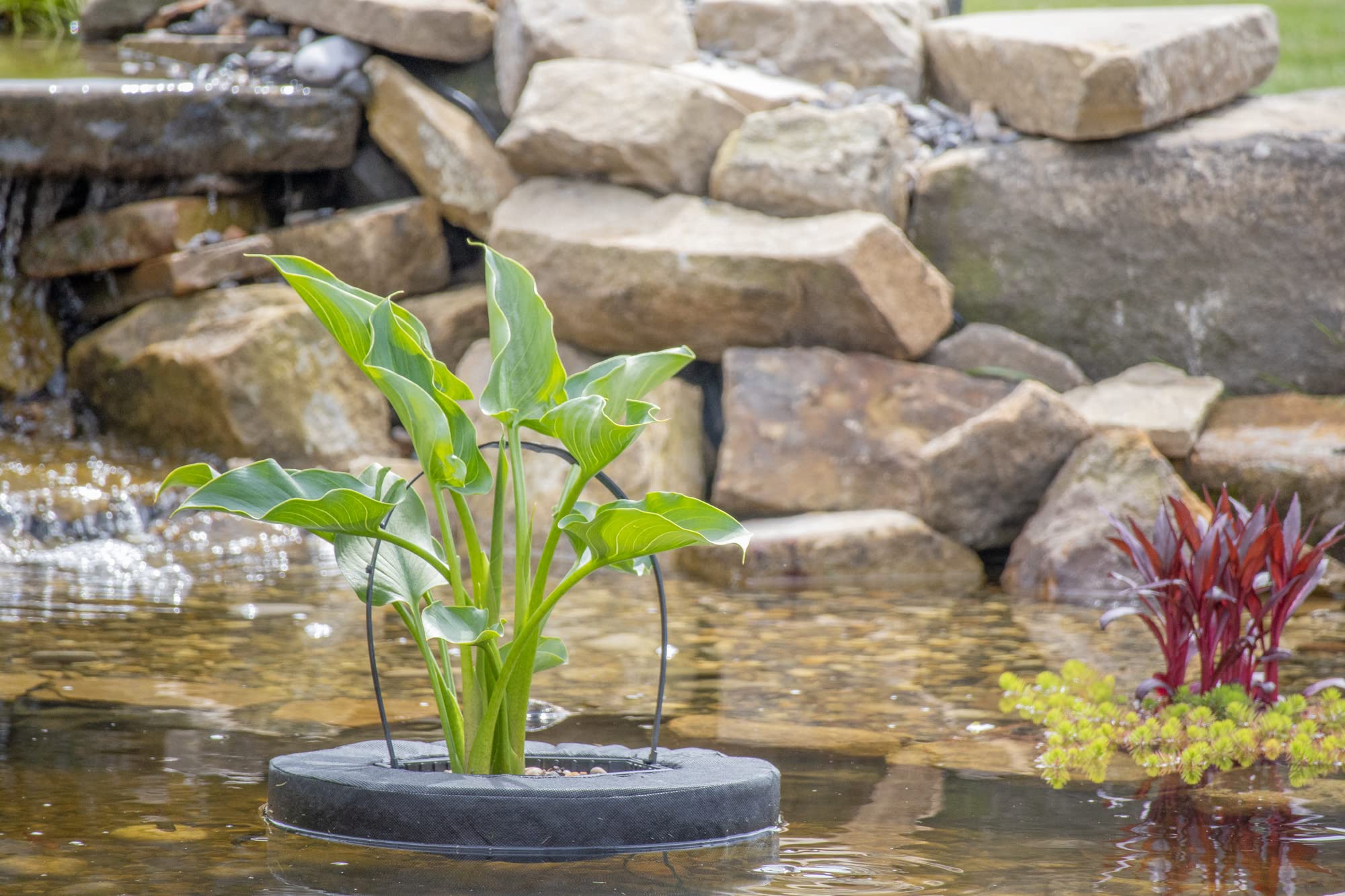 Pondh2o - Cesta flotante para estanque de agua acuática, 10 pulgadas, cuadrada, flotable, isla de plantas y agua