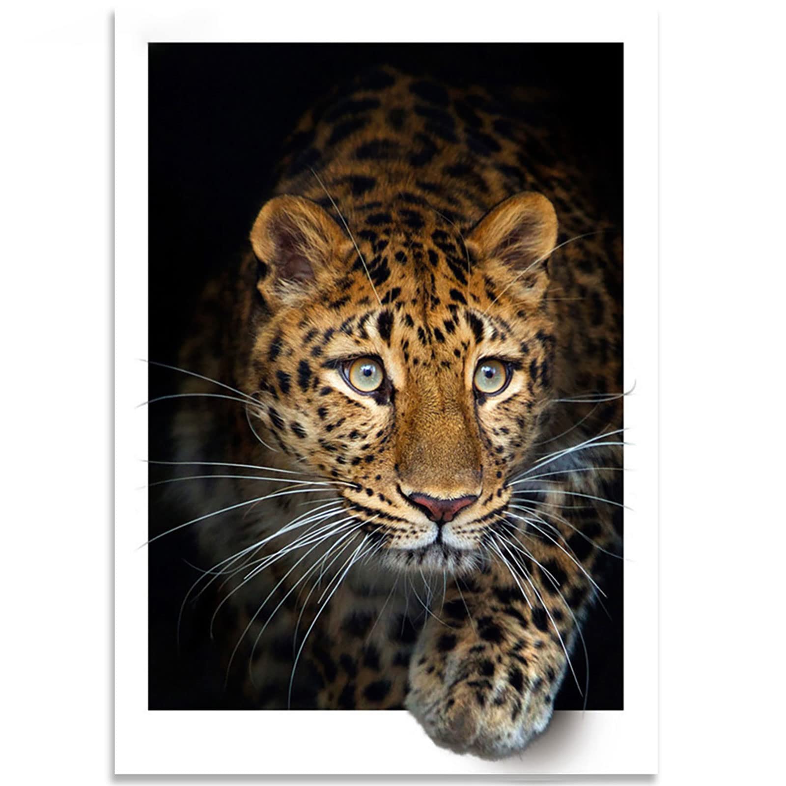 Instarry DIY 5D Broderie Diamant Grand Format Guépard Tableau Decoration Murale Chambre 90x60 cm