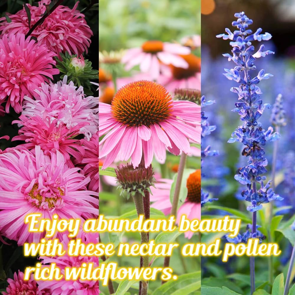 Honey Source Wildflower Seeds Mix for Honey Bees - 4oz, Premium Annual and Perennial Flower Seed Mix – Bulk Planting for Pollinator (Pack of 2)