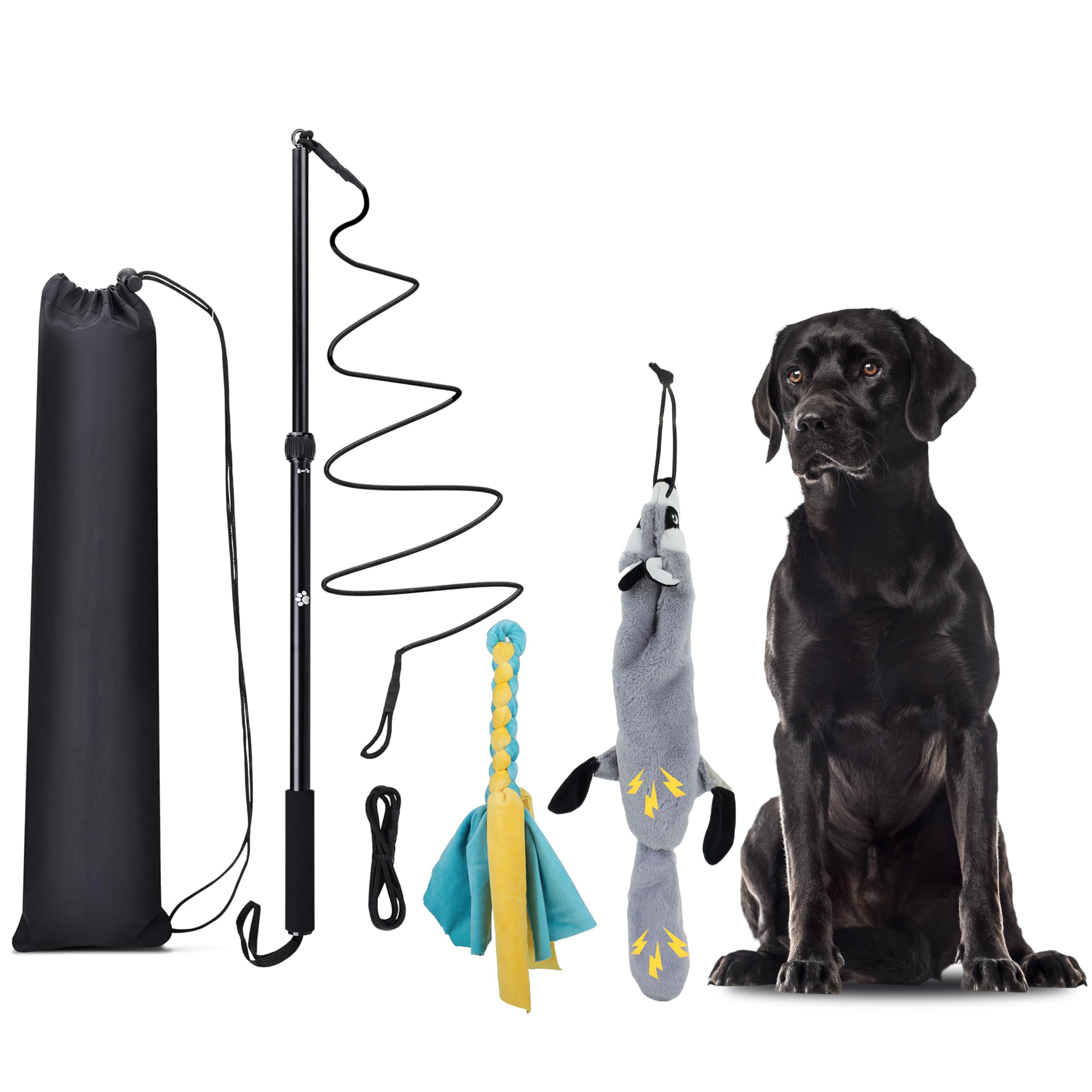 Reizangel Hunde, Profi Reizangel für Kleine, Mittelgroßer, Große Hunde für Ultimativen Spielspaß & Körperliche Auslastung （Seilstreifen + Biber）