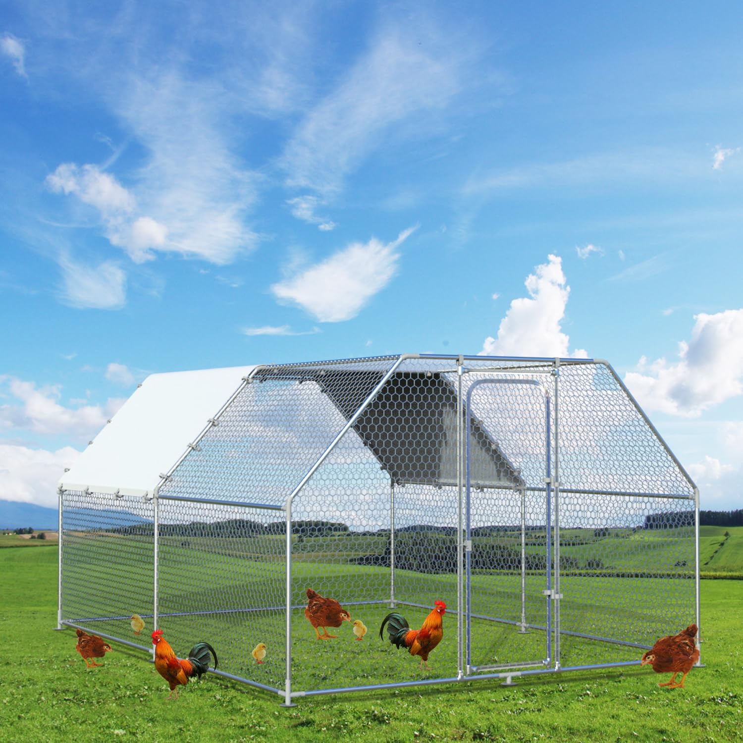 Buy Hiwokk Large Metal Chicken Coop Walkin Poultry Cage Chicken Run