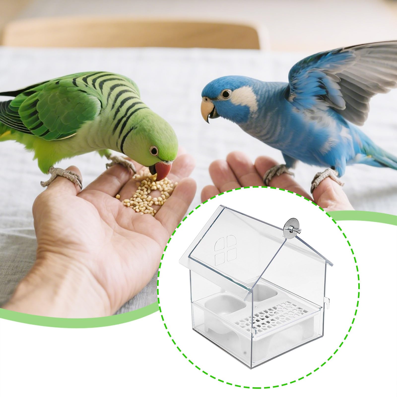 Generisch Eichhörnchensicheres Vogelfutterhaus, Transparente Vogelbadewanne
