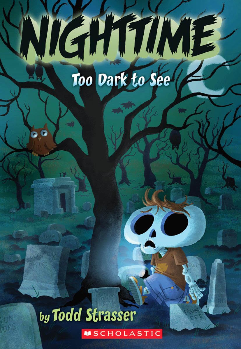 Nighttime: Too Dark to See Paperback – August 1, 2009