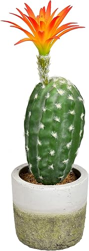 Vickerman Everyday Cactus artificial verde de 12 pulgadas en maceta de cemento - Cactus en maceta prefabricado - Planta de plástico duradero en