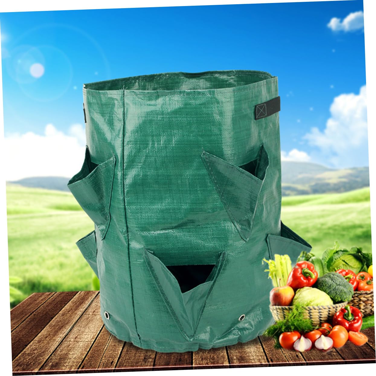 Toyvian 2 Series Bolsa De Crecimiento De Plantas De Fresas Bolsa De Transpirable Jardín Plantas Macetas 2 Piezas*2