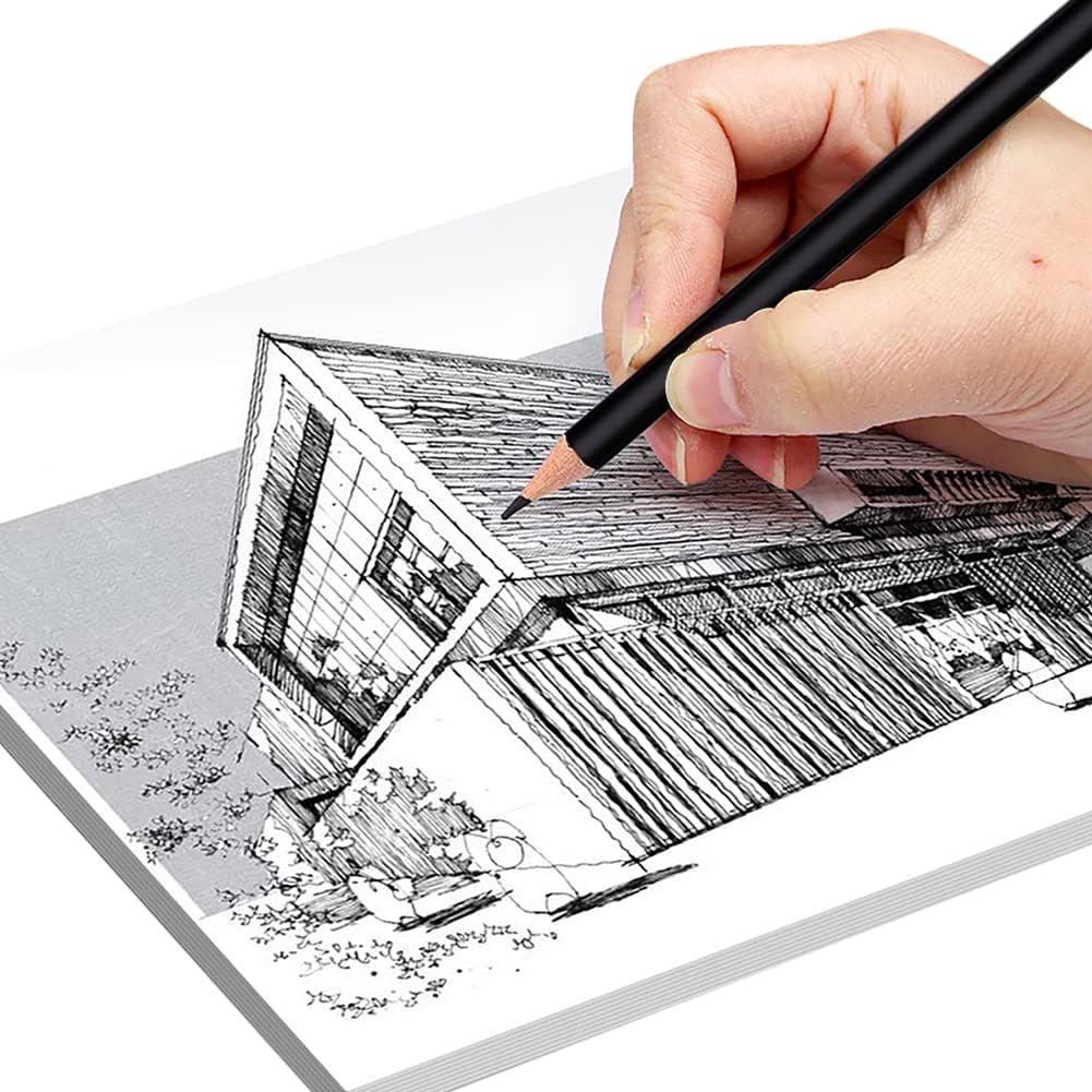 12 Pack Black White Color Pencil Drawing Set Wooden Coloring Drawing Pencil Oil-based Colored Pencils Charcoal Pencils for Sketching Shading Blending Beginners Artists (6 White+6 Black)