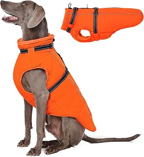 Lelepet Hundemantel für den Winter, Warme Hundejacke mit integriertem Geschirr, Winddicht Mantel mit Fleece Gefüttert für Hunde, Reflektierende Hundeweste für Kaltes Wetter, Orange XL