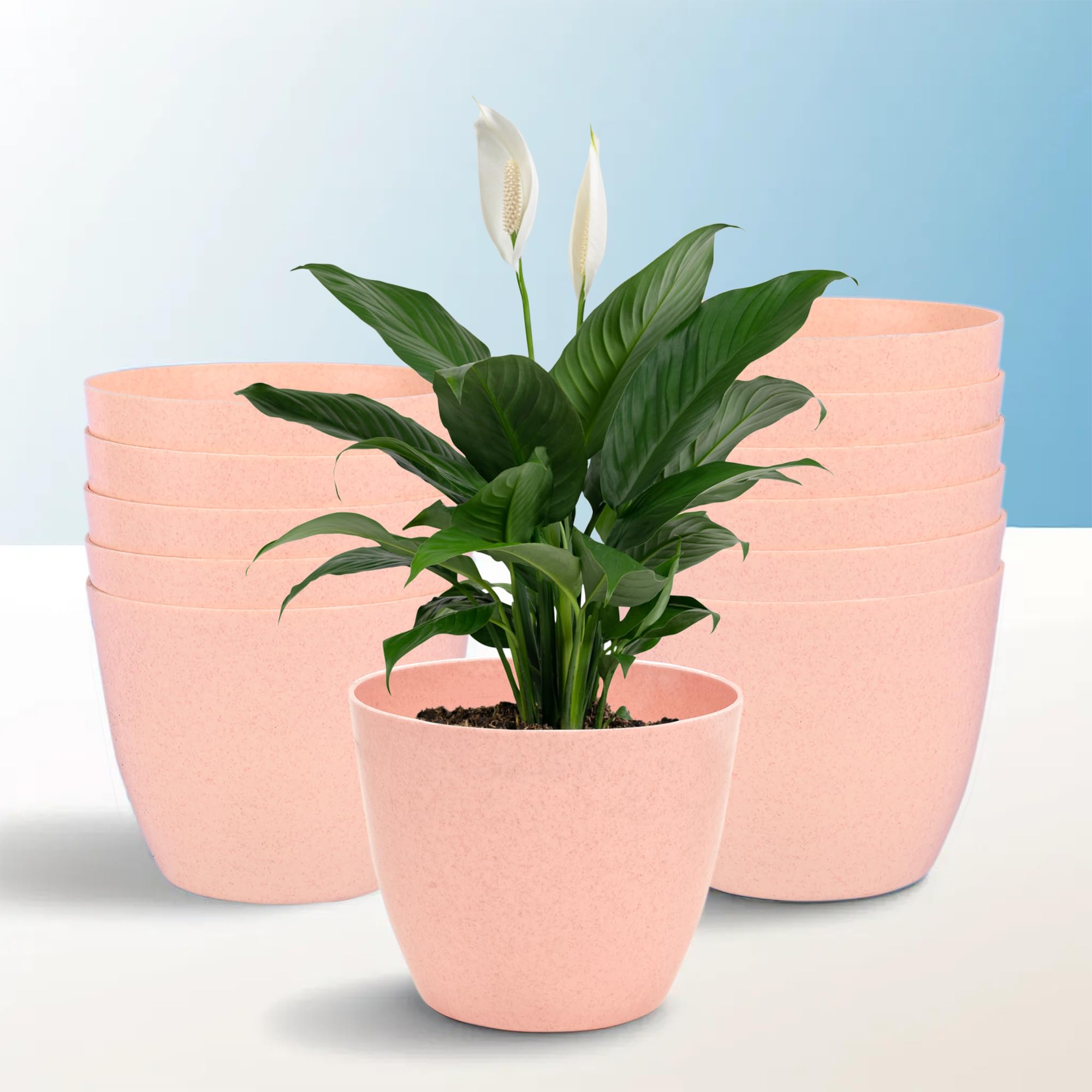 Heart Home Pack of 12 Flower Pot | Flower Pot for Living Room-Office | Flower Planters for Home-Office-Lawns & Garden D�cor | Flower Pots for Balcony | Marble Cool | 5 Inch | Peach (B0CYPX22H4) Amazon Price History, Amazon Price Tracker