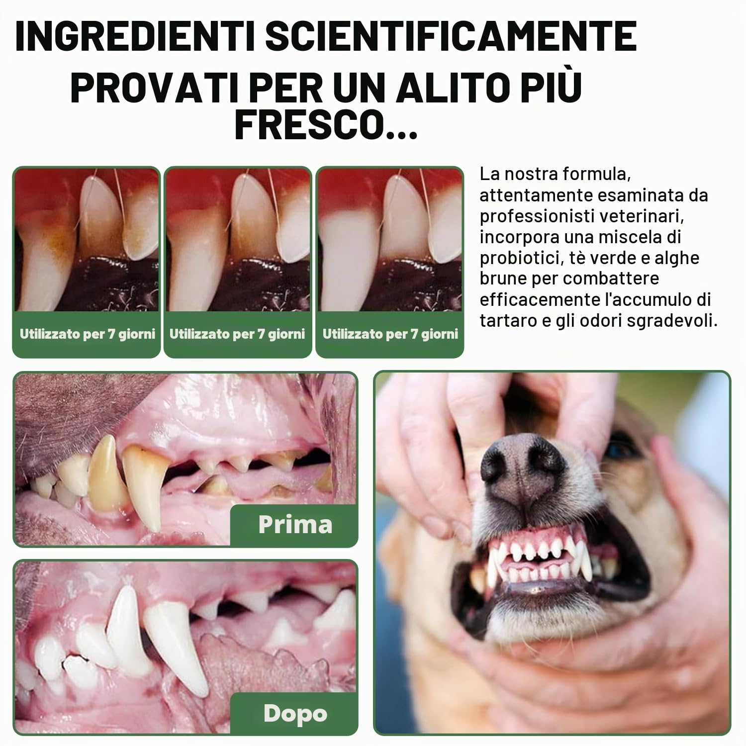 Polvere Dentifricia per Animali 300g: Cura Denti, Eliminazione Odore, Rimozione Tartaro, Alito Cattivo