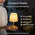 EppieBasic Rechargeable Table Lamp Cordless: Fast Charging & Long Lasting - 2700K Warm Light Vintage Small Gold Lamps for Women Housewife - Living Room Bedroom