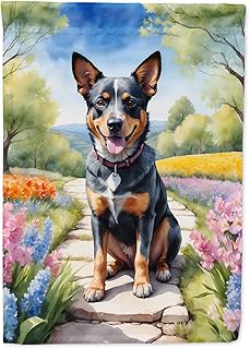 Caroline's Treasures DAC6555GF Australian Cattle Dog Spring Garden Garden Flag Mailbox Flag Decorative Yard Flag Banner Outside Patio Artwork Yard Flower Beds, Garden Size, Multicolor