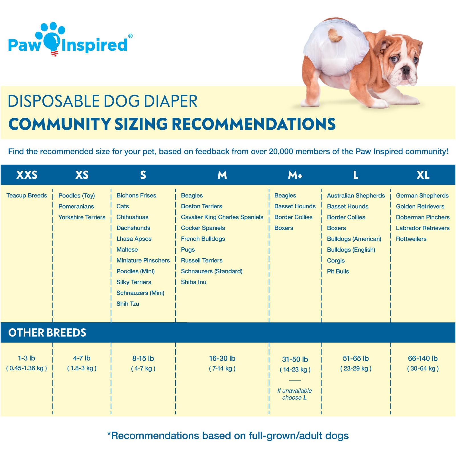 Pañales Desechables de 32 Quilates inspirados en Paw | Pañales para Perro Hembra para protección Ultra | Pañales para Perros con Calor, micción excitable o incontinencia
