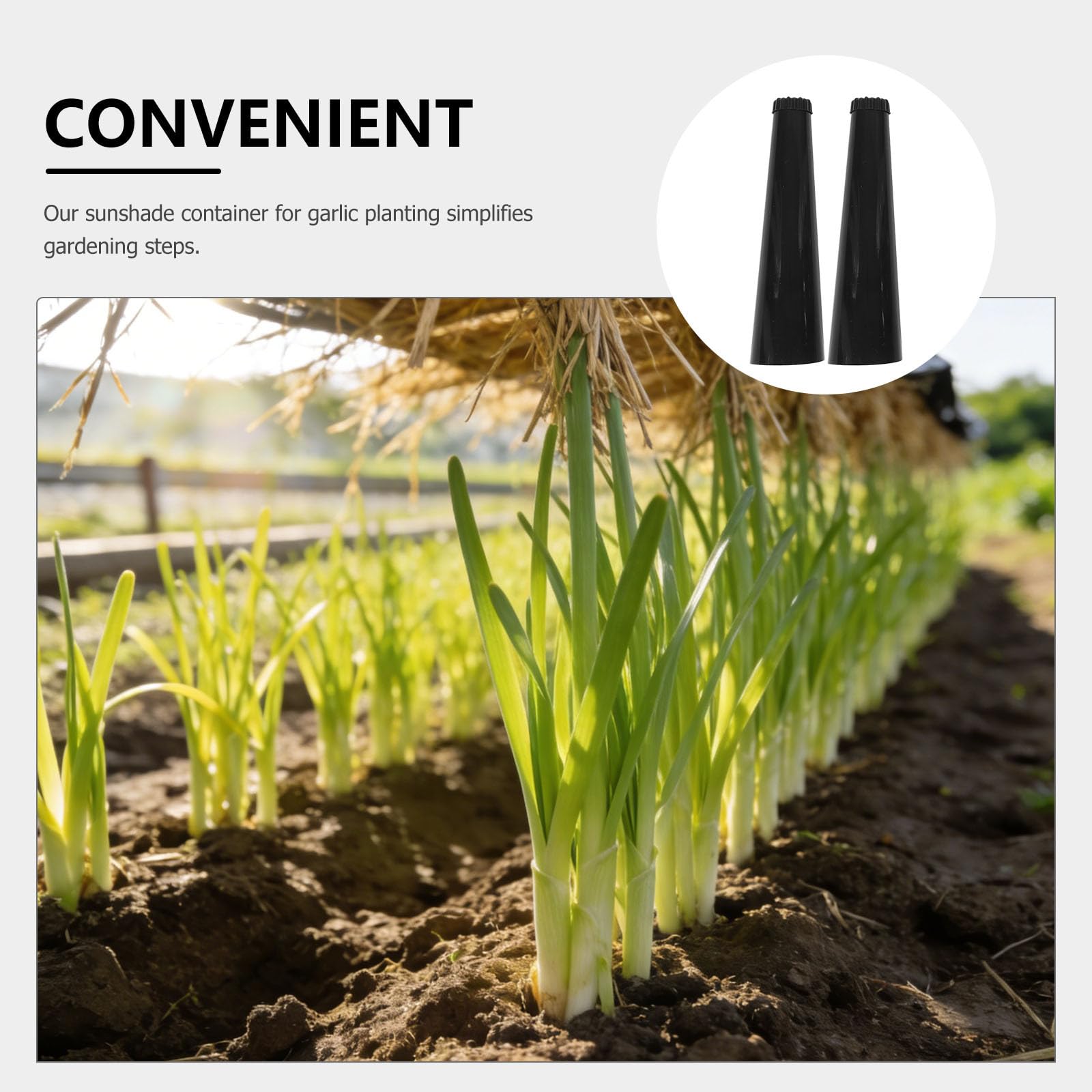 Gatuida 4er-Pack Pflanzglocken: Sonnenschutz für Gemüse – Pflanzenschutz für Jungpflanzen – Garten-Sonnenschutz-Eimer