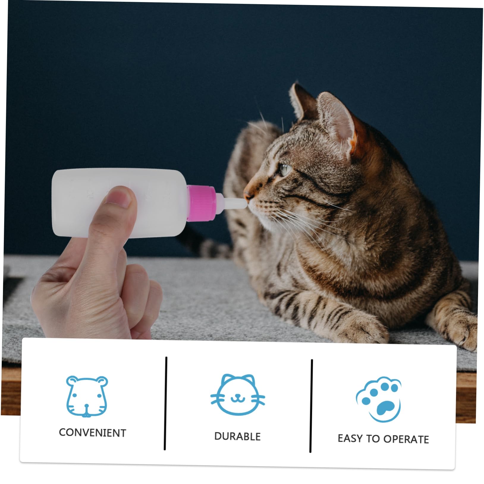 VANZACK Practical Pet Nursing Bottle Set 2 Sets Pet Feeding Bottles for Kitten Puppy Leak