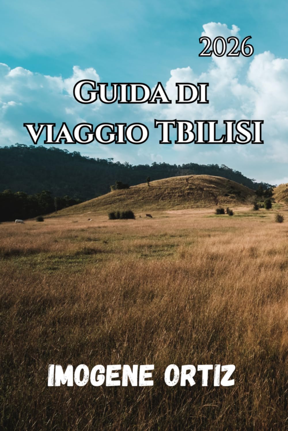 GUIDA DI VIAGGIO TBILISI 2026