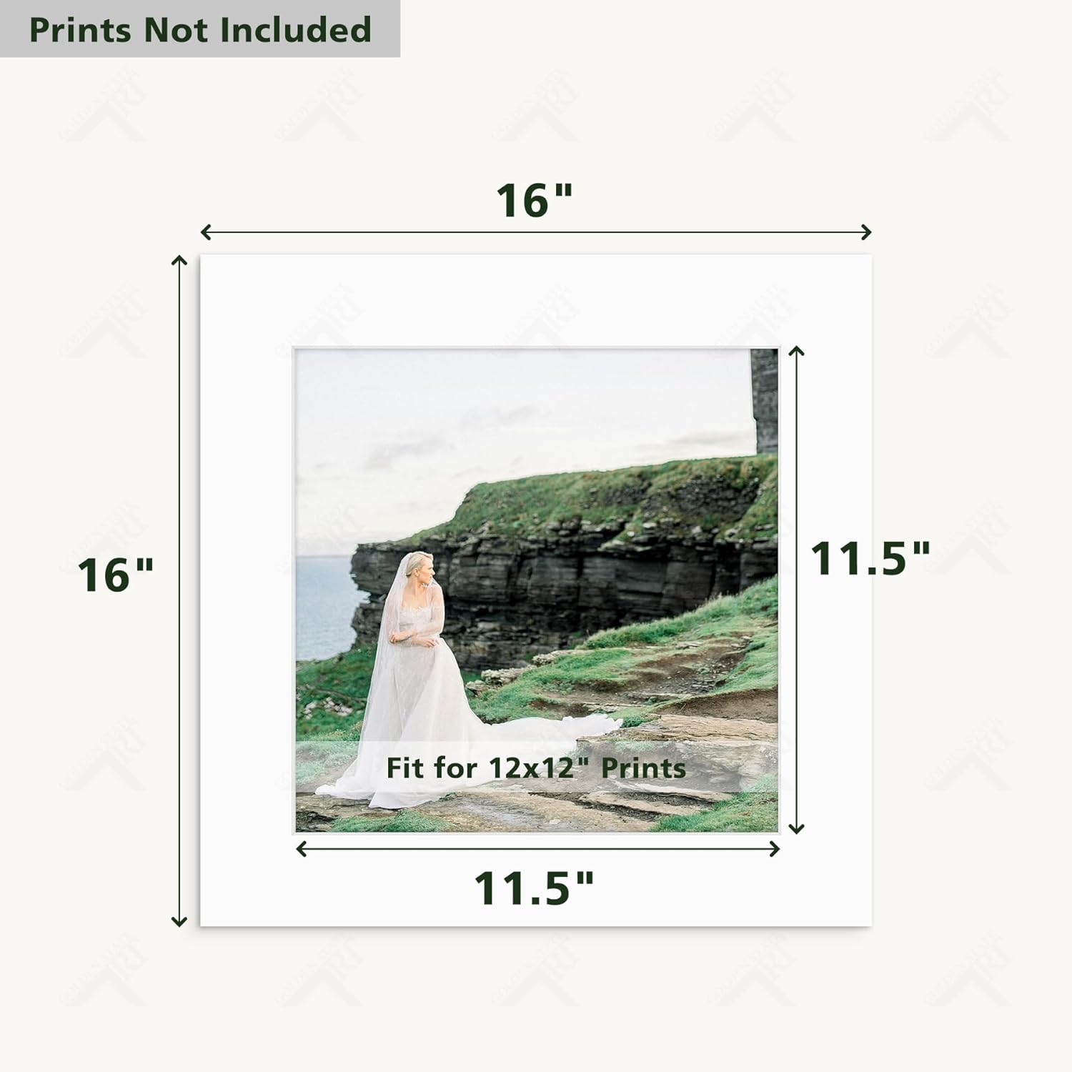 Golden State Art, Pack of 10 Acid Free 16x16 for 12x12 White Picture Mats, Bevel Cut White Core Frame Mattes for Photos