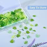 Pandahall 320Pcs Green Acrylic Leaf Beads Charms Transparent Maple Tree Leaves Pendants Cute Green Leaf Beads Caps for Jewelry Making Necklace Earring