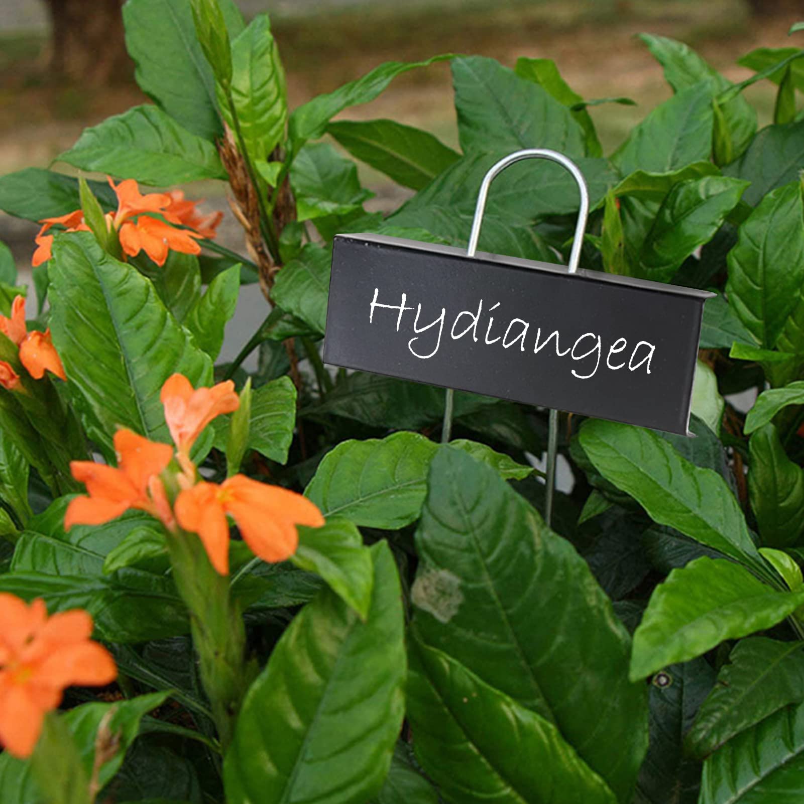 Metall Pflanzenschilder, Höhe 27.5cm Beschriftungsfeld 9x3cm, Wetterfeste Pflanzenstecker zum Beschriften für Garten, Hochbeet, Gewächshaus, Blumenbeet, Pflanzgefäße (30)