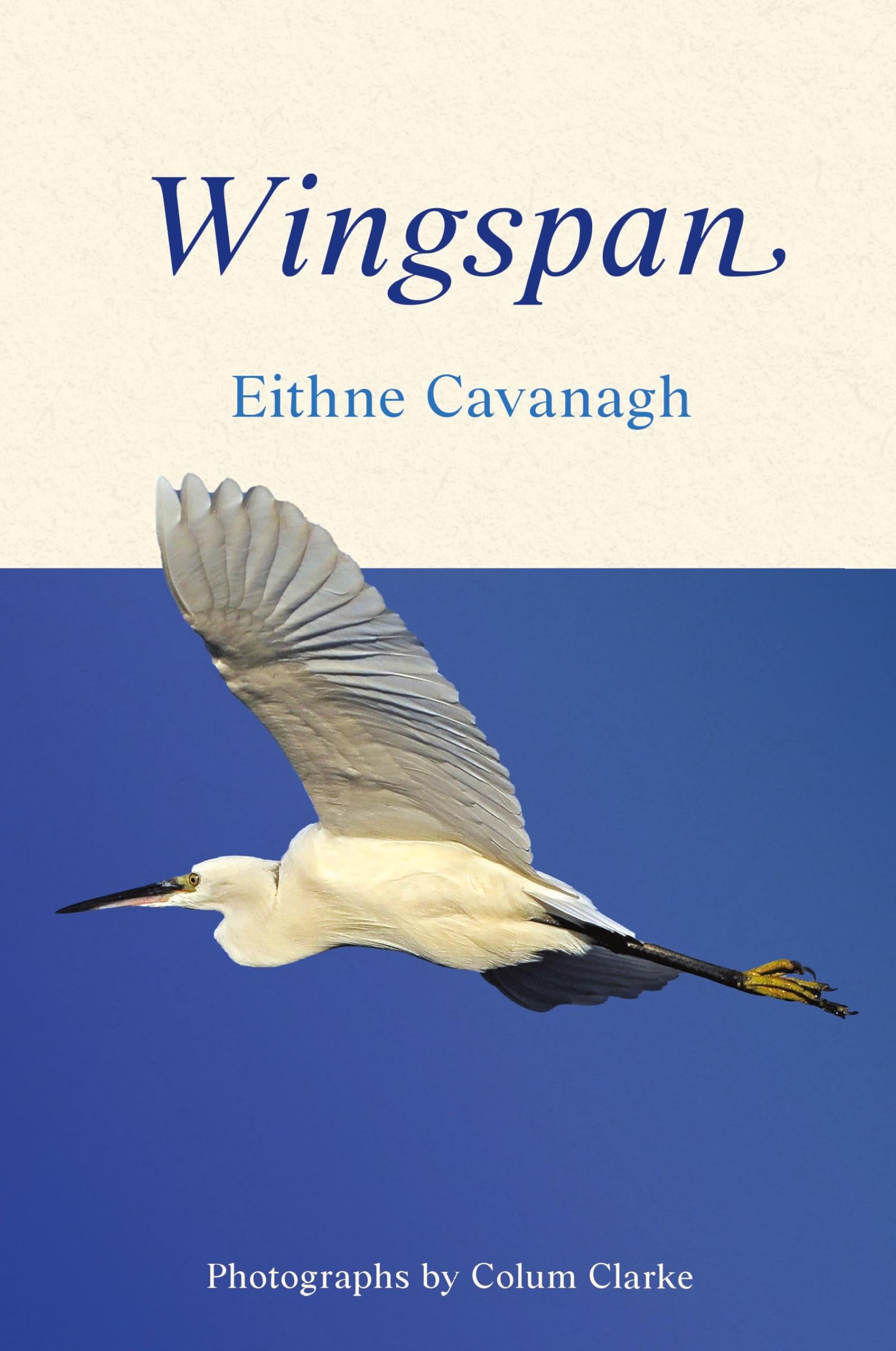 Wingspan