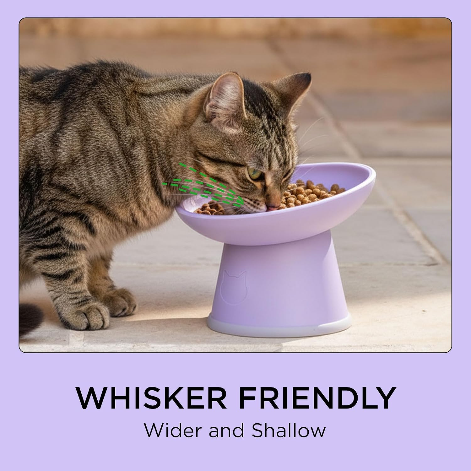 Necoichi BPA-Free Elevated Cat Food Bowls, 15° Tilted, 2-Pack (Lilac Ice)