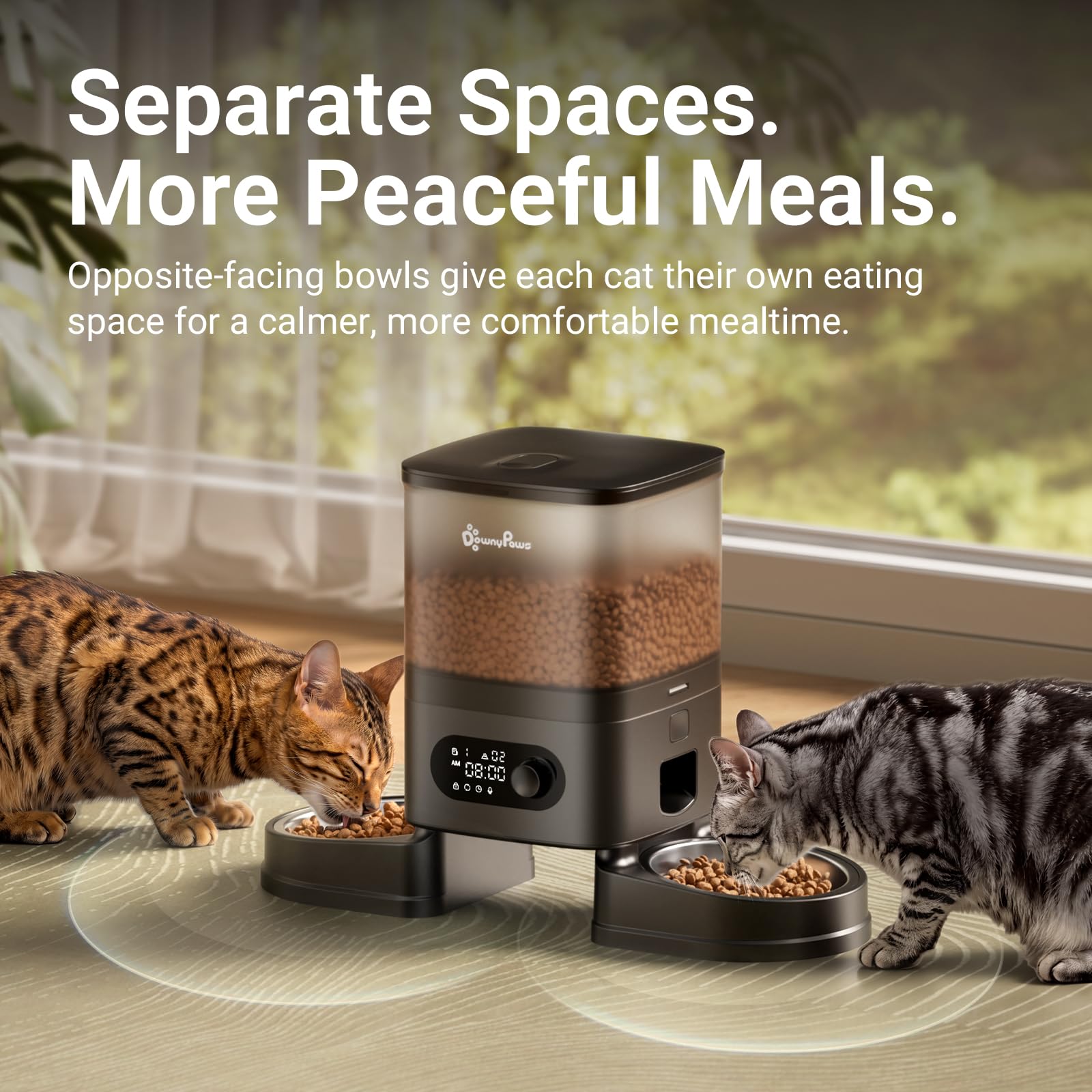 DownyPaws Distributeur Croquettes Chat Automatique, sans Fil avec Minuterie