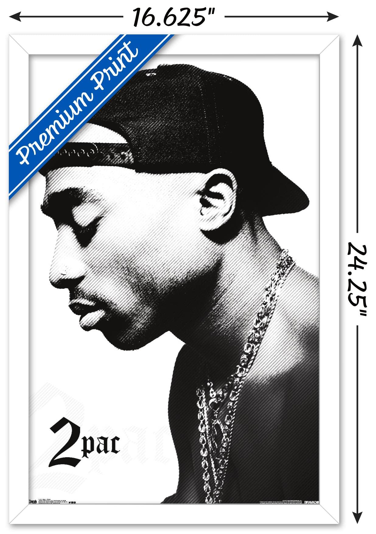 Amazon.com: Trends International Tupac - Profile Wall Poster