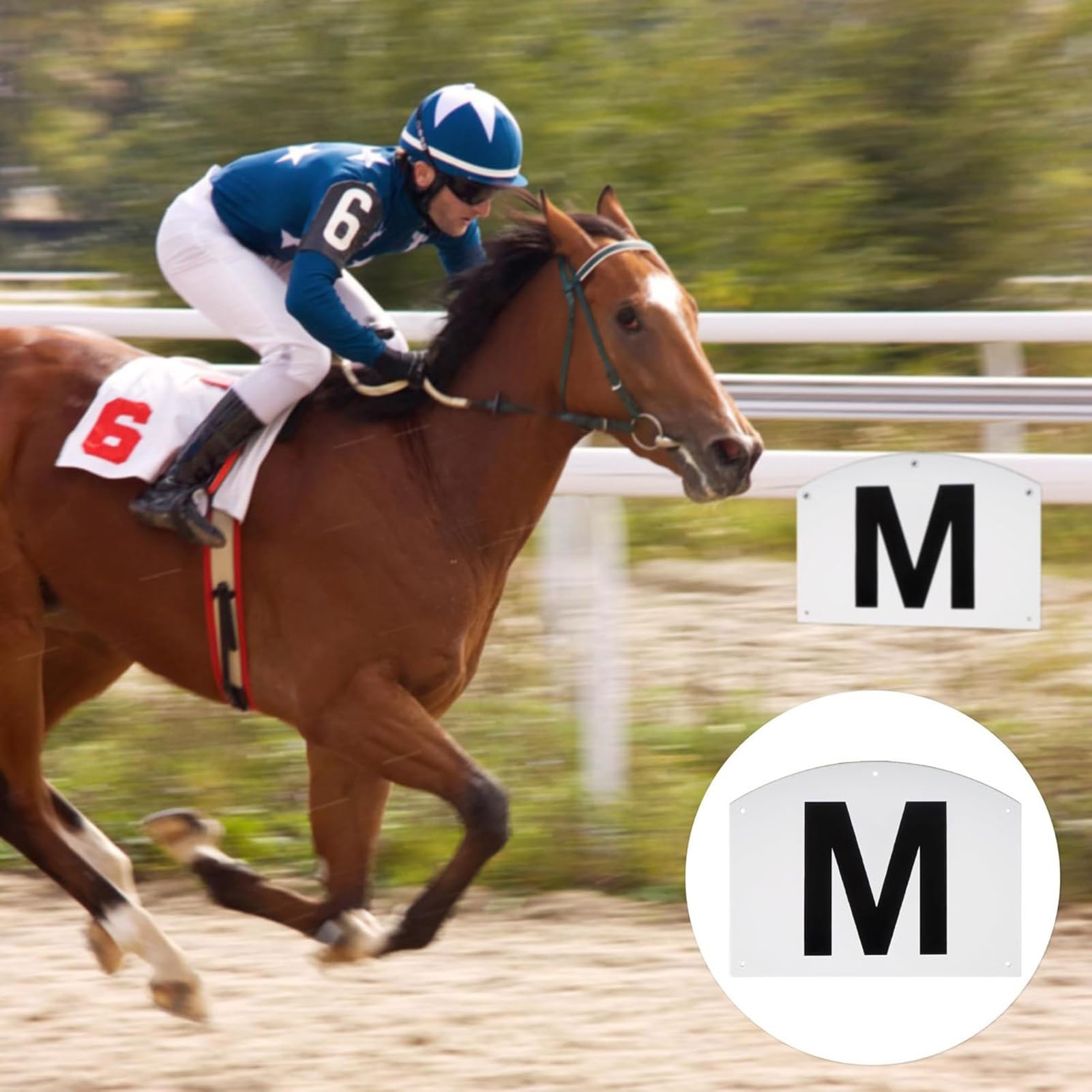 Marcatura di dressage in 8 parti set-8 di lettera robusti, di di guida resistenti alle intemperie | Set di allenamento sul campo di guida, lettere di guida durevoli co