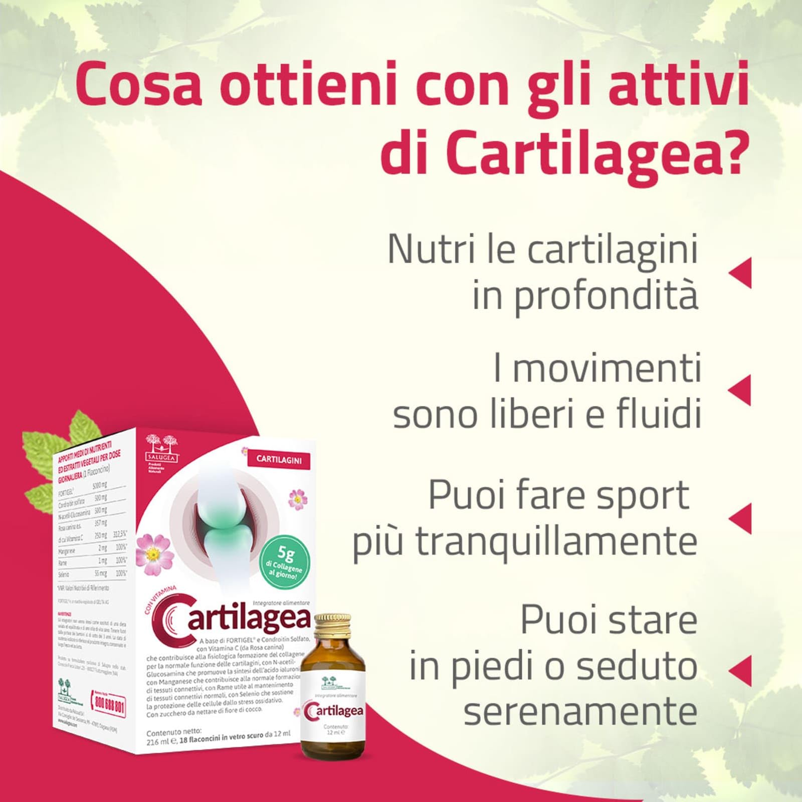 CARTILAGEA Salugea - Integratore 100% Naturale per il Benessere delle Cartilagini - con Collagene idrolizzato, Glucosamina, Condroitina, Rosa Canina (Vit. C), Manganese, Rame e Selenio - 18 flaconcini