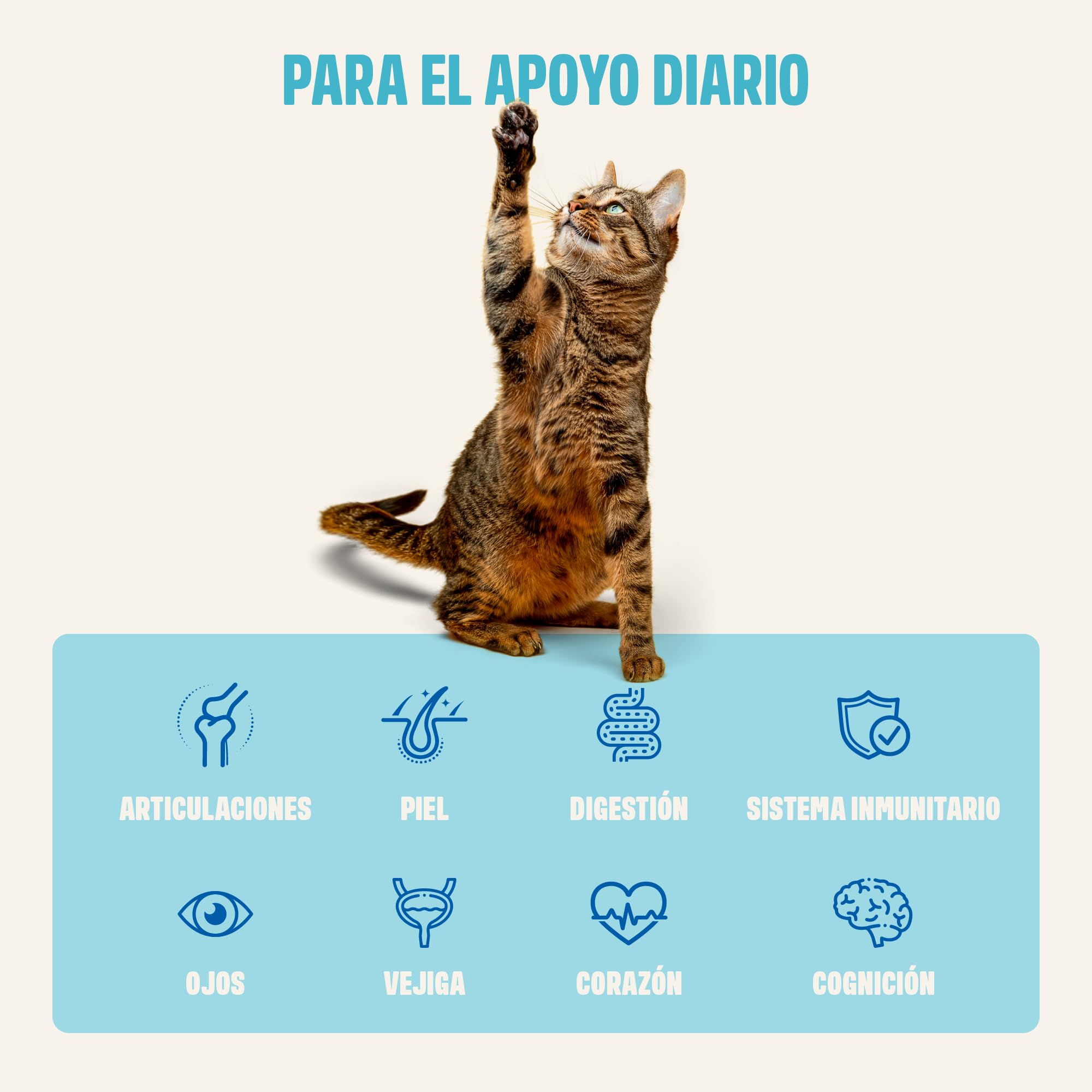 ivvi Esencia Multivitamínica para Gatos – Snack Cremoso con Atún Real – con Vitaminas B, Vitaminas A, D3 y E, Biotina, L-lisina, Magnesio y Mejillón de Labio Verde – 30 x 15 g