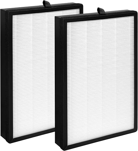 Paquete de 2 filtros de repuesto H05 compatibles solo con purificador HIMOX H05, filtro de filtración 3 en 1