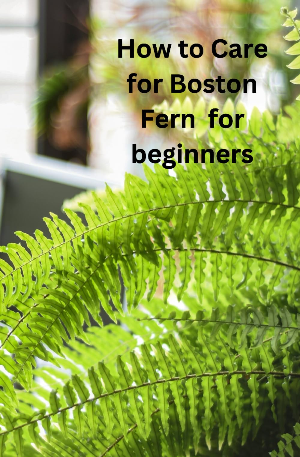 How To Care For Boston Fern For Beginners: From Novice to Green Thumb: A Comprehensive Beginner's Journey to Understanding and Nurturing Boston Ferns