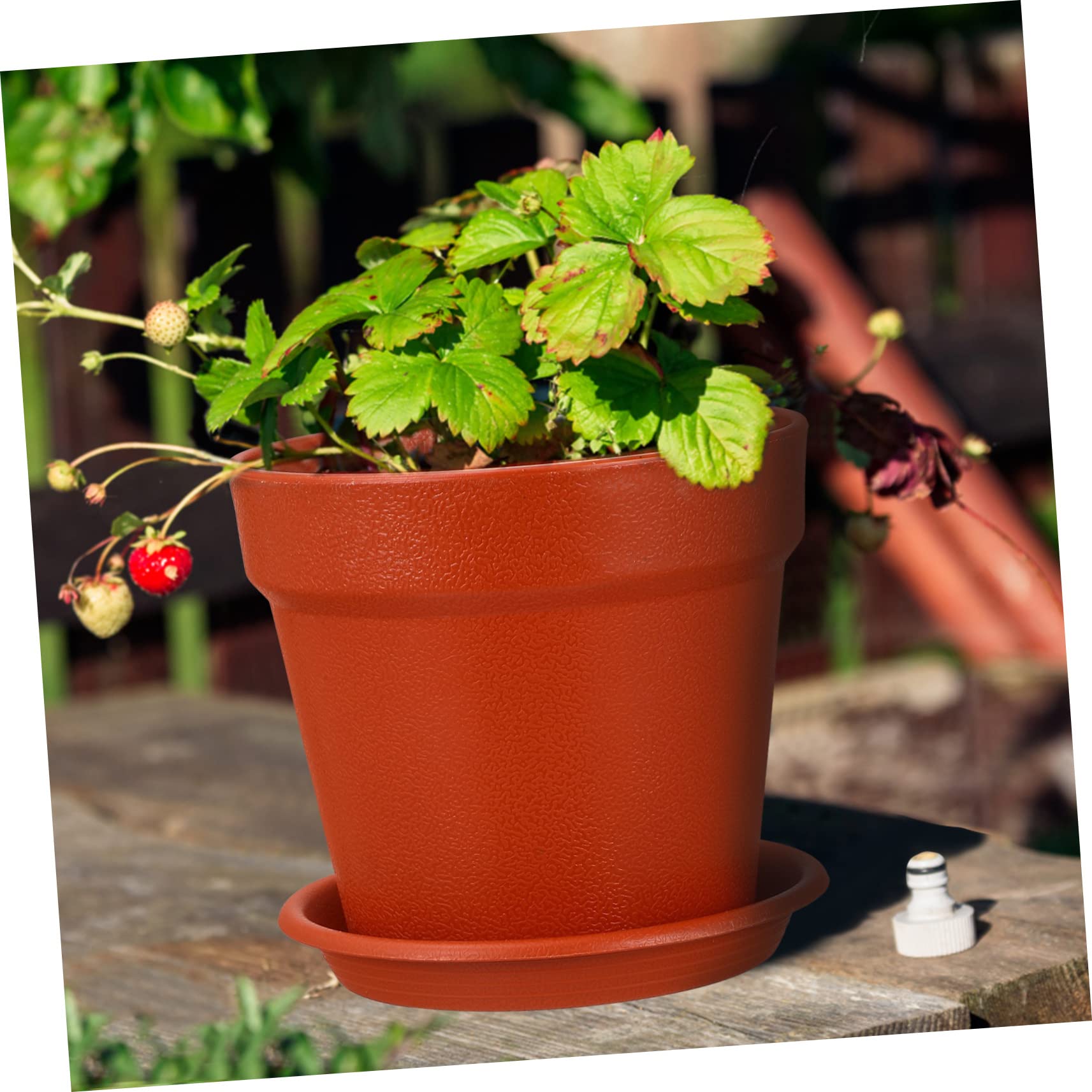 GALPADA 24 Pièces Pots de Fleurs Plastique avec Soucoupes pour Plantes Intérieur Extérieur Pots Fleur Plastique Soucoupe