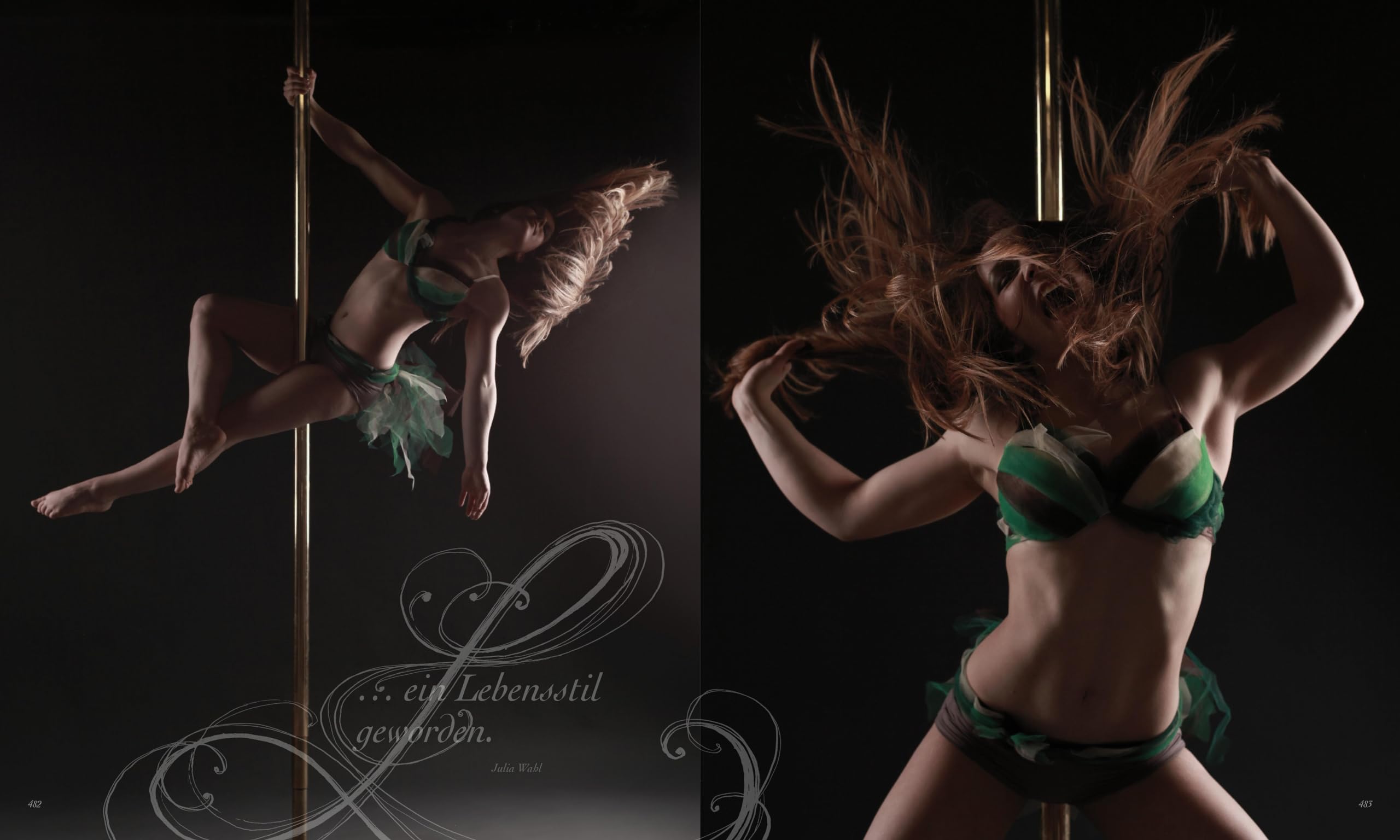 Poledance Passion - Technik, Training, Leidenschaft - Schritt-für-Schritt-Anleitungen zu 200 Pole Dance Figuren. Mit Porträts internationaler Pole Ikonen.