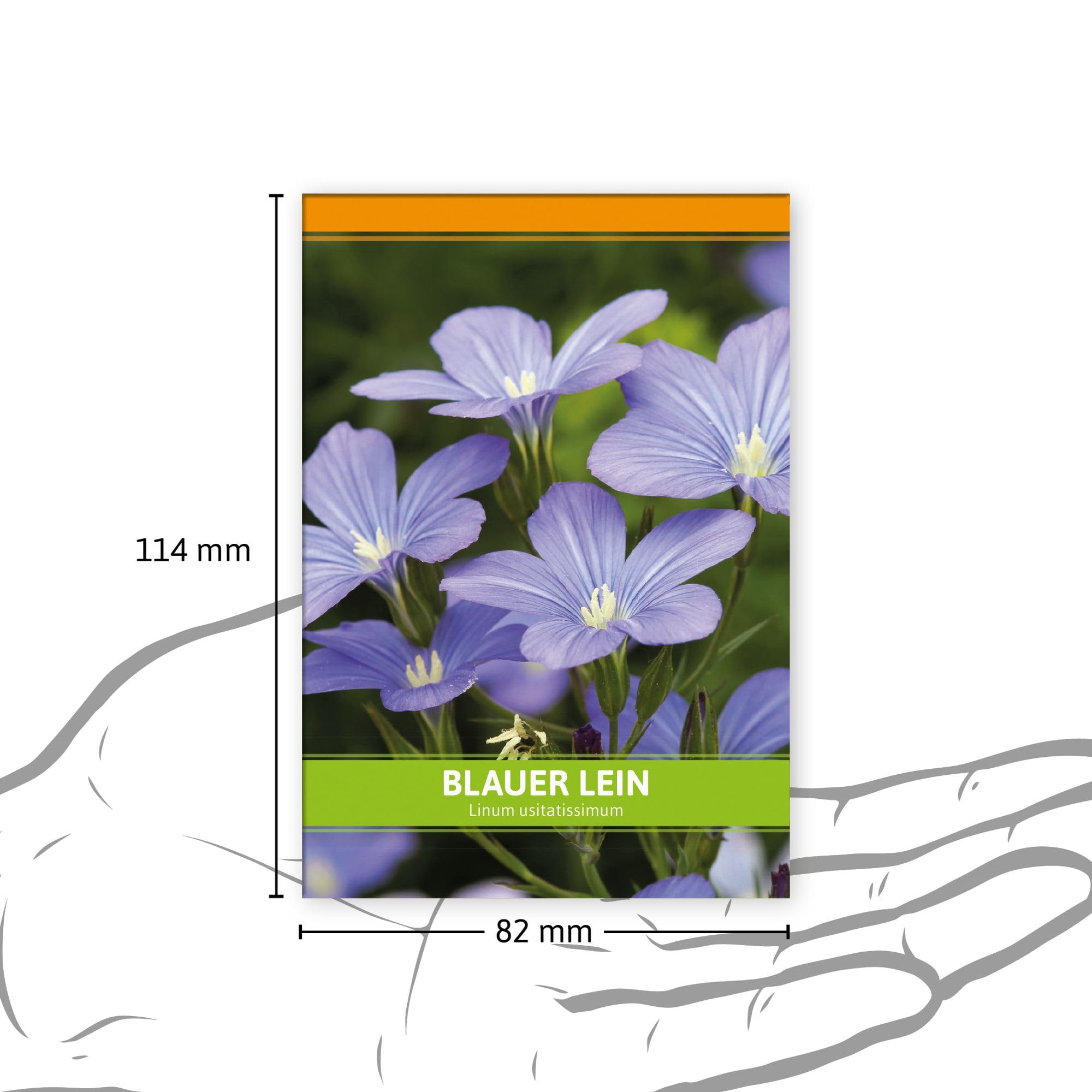 FLORTUS Blauer Lein als Gastgeschenke (100 Stück) | Blumensamen als Dankeschön Geschenke, Mitgebsel & Werbegeschenke | Bienenfreundliches Saatgut