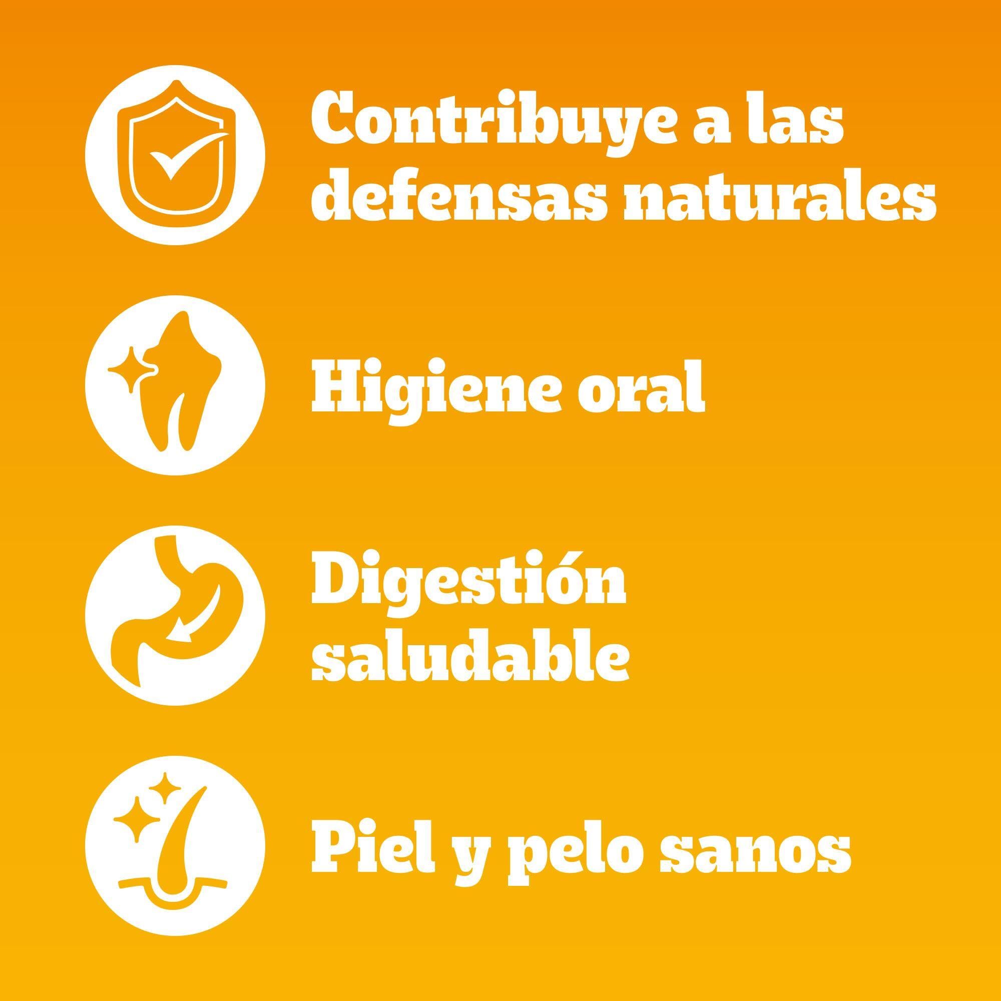 PEDIGREE Complete Comida Perros Pequeños y Mini Adult Buey Verduras (Pack de 6 x 1,4kg)