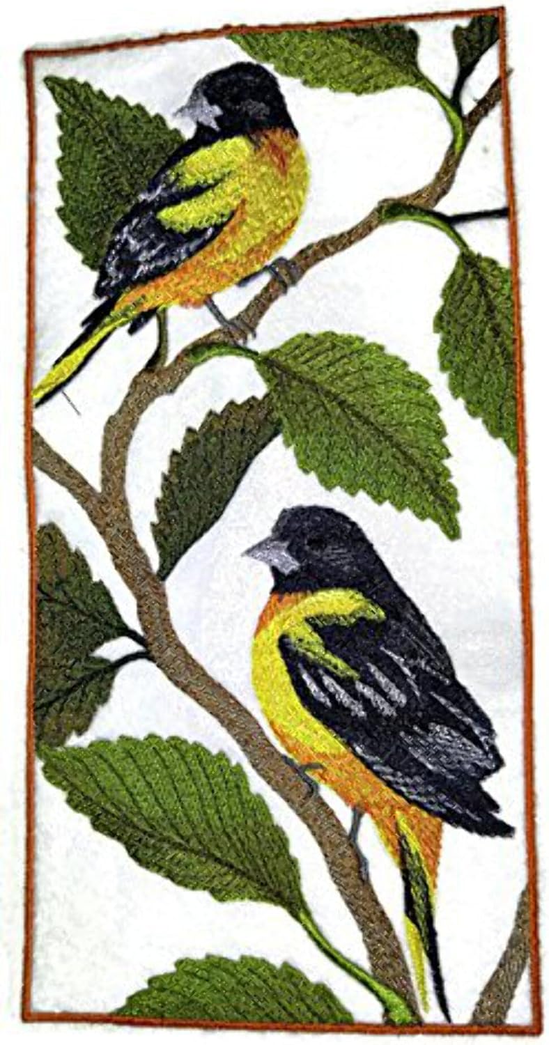 Nature Weaved in Threads, Amazing Birds Kingdom [Baltimore Oriole Panel] [Custom and Unique] Embroidered Iron on/Sew Patch [9.42" *4.73"] [Made in USA]